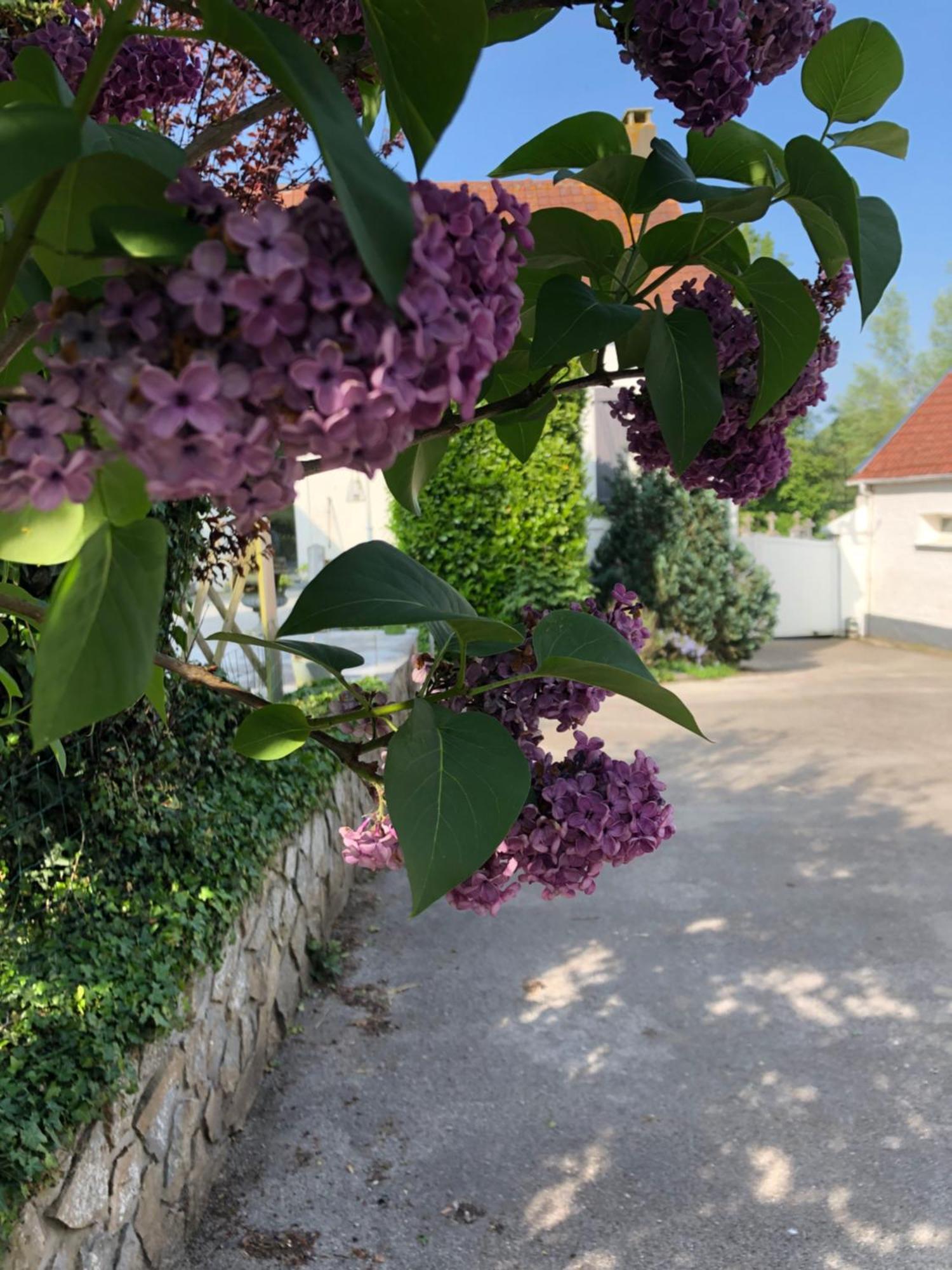 Le Clos De La Pommeraie Carly Екстериор снимка